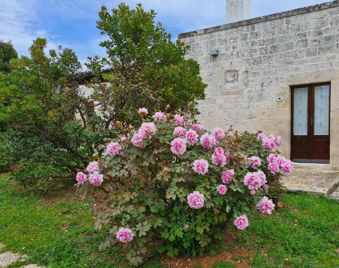 Masseria Montecchie Ceglie Messapica Exterior foto